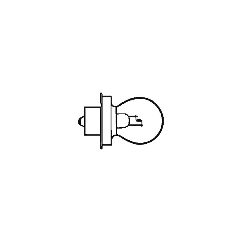 Lampada Lampadina 6v 15w P26s